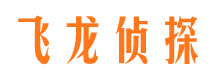 坡头侦探